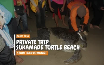 private trip sukamade beach