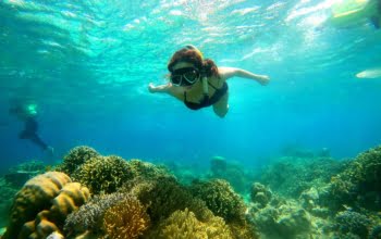 5 spot snorkeling di banyuwangi