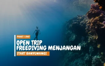 open trip freediving menjangan