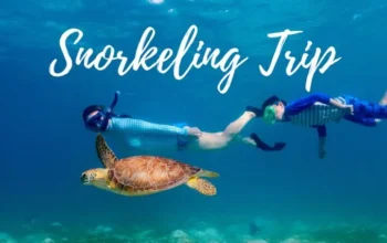 snorkeling menjangan