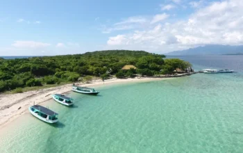 menjangan tabuhan