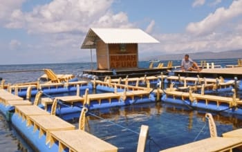 Pantai bangsring underwater