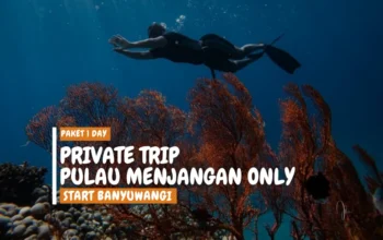 private trip menjangan island