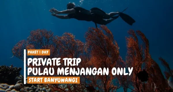 private trip menjangan island