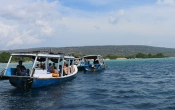 pulau menjangan snorkeling