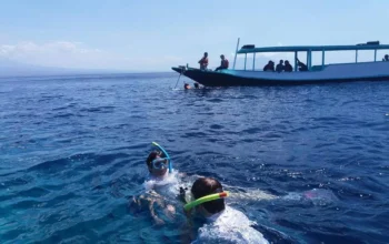 paket wisata menjangan tabuhan