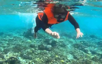 paket wisata banyuwangi 1 hari