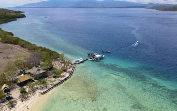 Menjangan Tabuhan Wisata Hits Paling Populer di Banyuwangi