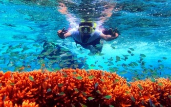 paket wisata menjangan tabuhan